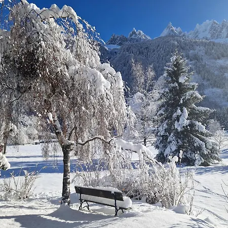 Lägenhet Les Tussilages - Terrasse Vue Mont-blanc Chamonix