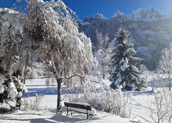 Apartament Les Tussilages - Terrasse Vue Mont-blanc Chamonix